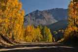 hiway 145 in fall